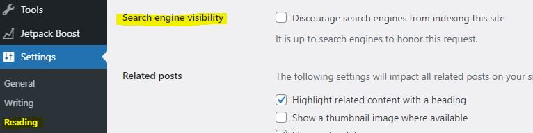 Check Visibility Settings of Your Website